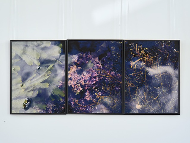 Cross Over, Triptychon