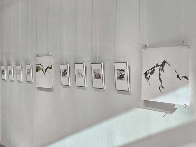 Ausstellungsansicht 15