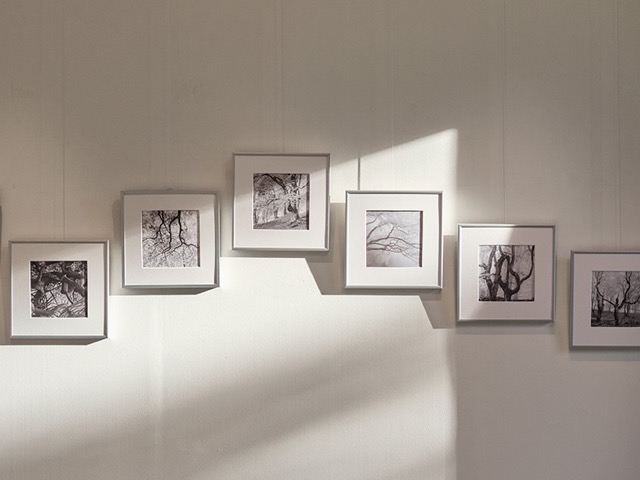 Ausstellungsansicht 22