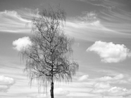 April.2015.0137.jpg