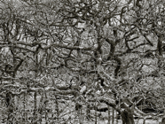 April.-22.2639.jpg