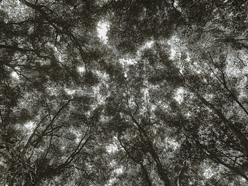 © 2024 Martin Kaegi