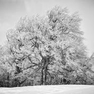 März-2016.0077-S-W.jpg