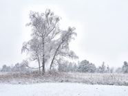 Dez.-22.0134.jpg