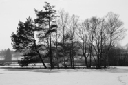 PICT1684 S-W.jpg