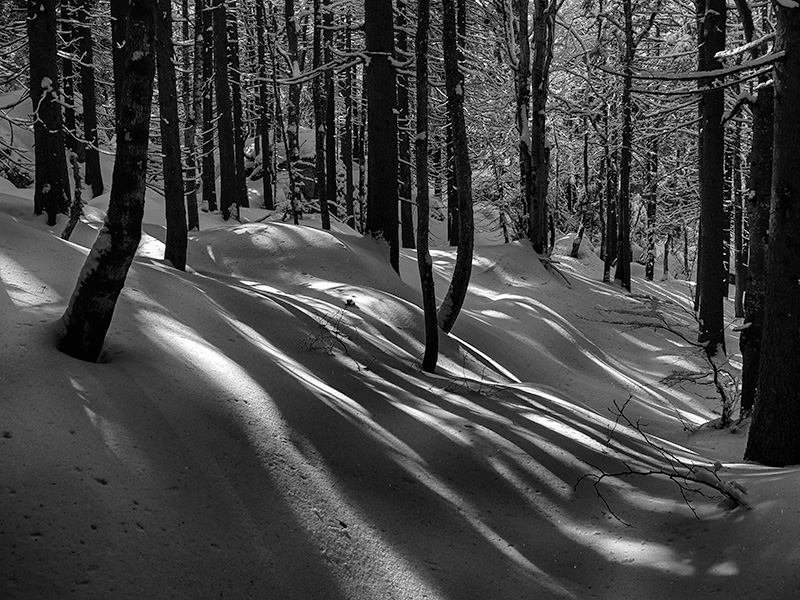 © 2022 Martin Kaegi