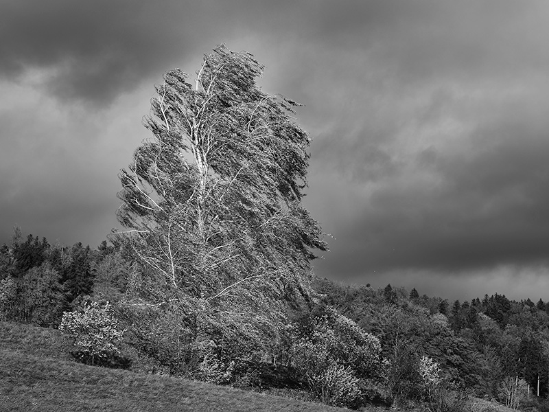 © 2024 Martin Kaegi