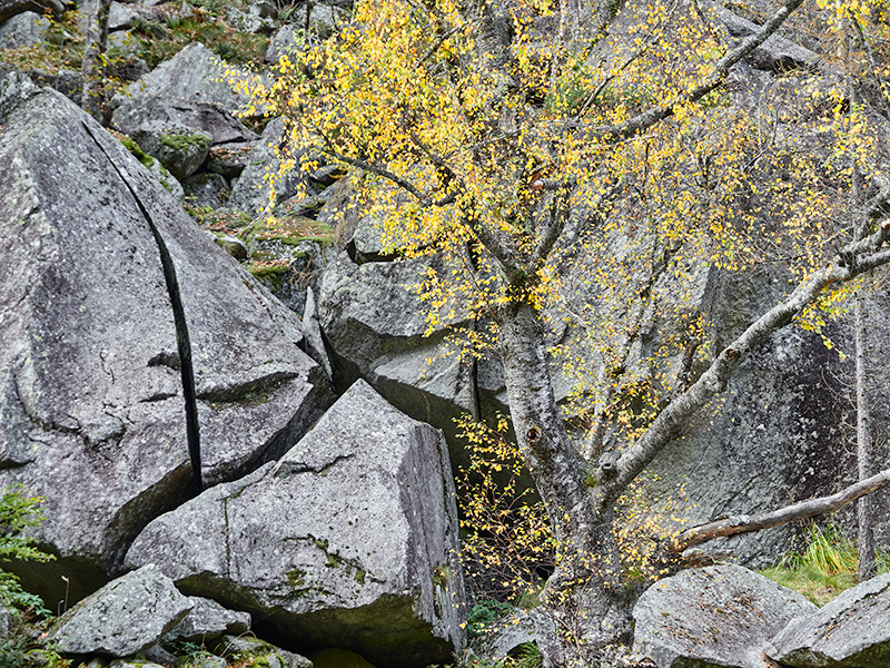 © 2021 Martin Kaegi