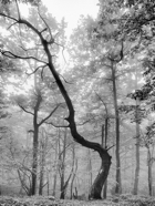 Okt.-21.0845_SW.jpg