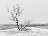 Dez.-22.0123.jpg