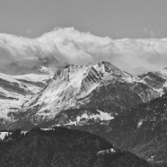 April.24.0047_SW.jpg