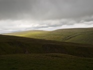 _8012991
