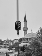April 2016.0996 1.jpg