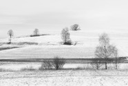 Jan.-23.0067.jpg