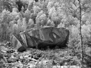 Okt.-21.0524_SW.jpg