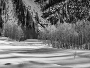Feb.2015.0237S-W.jpg