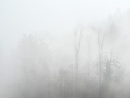 Dez.23.0114.jpg