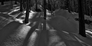 Feb.-23.0115.jpg