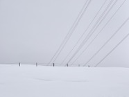Feb.2016.0220-1.jpg
