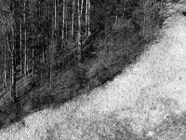 März.20.0039.jpg