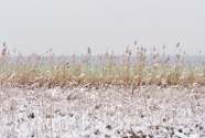 Dez.-22.0129.jpg