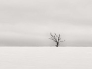 Jan.2015.0104.jpg