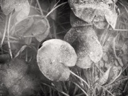 März.2015.0025_V.3_SW.jpg