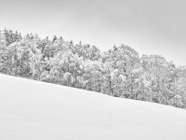 Jan.21.0225-1.jpg