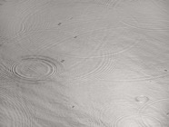 Juli.2014.1507(CO1 Grain)V2.jpg