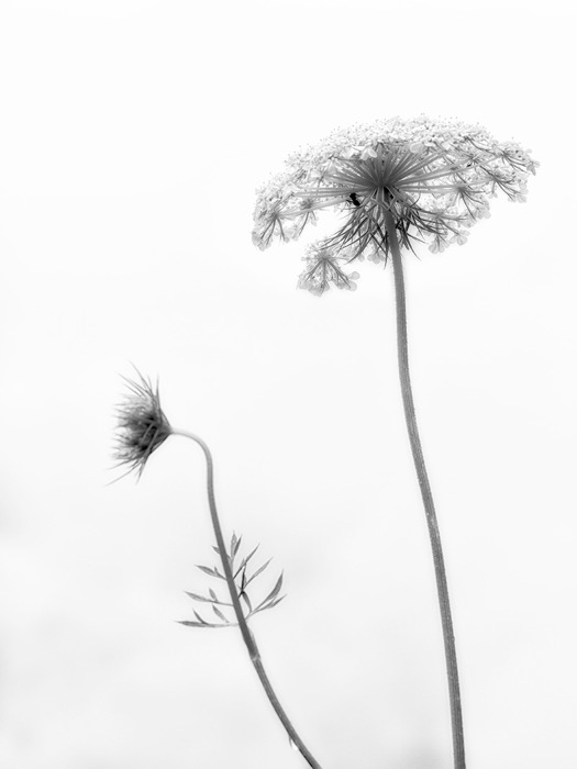 © 2021 Martin Kaegi