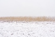 Dez.-22.0128.jpg
