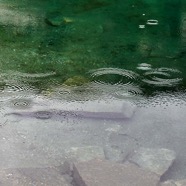 Juli.2014.1299 2.jpg