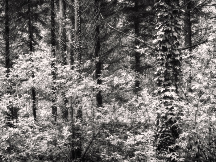 © 2015 Martin Kaegi