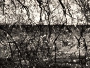 April.2015.0147.jpg