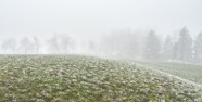 Dez.-22.0113-(1).jpg