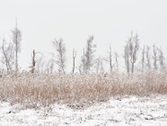 Dez.-22.0121.jpg