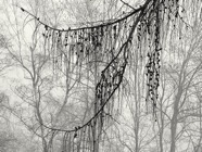 Feb.2011.019