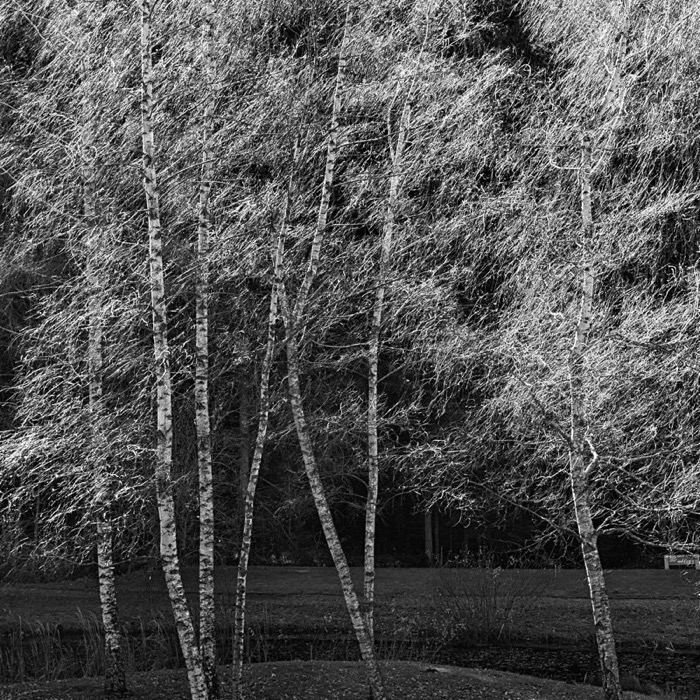 © 2010 Martin Kaegi