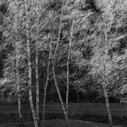Nov.2010.017 2