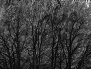 Feb.2011.032