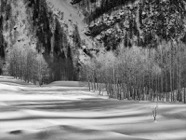 Feb.2015.0237S-W.jpg