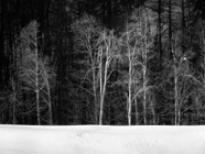 Feb.2015.0337S-W.jpg