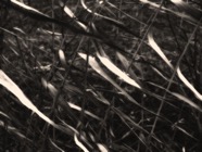 März.2011.002