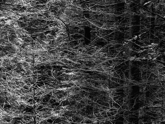 © 2014 Martin Kaegi