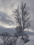 Jan.21.0209.jpg