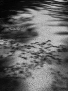 Juni.14.009.jpg