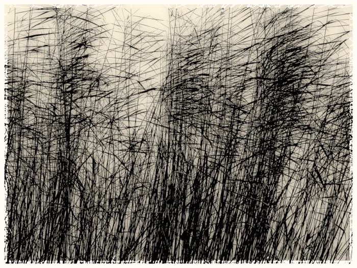 © 2014 Martin Kaegi