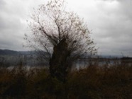 Dez.2014.0032.jpg