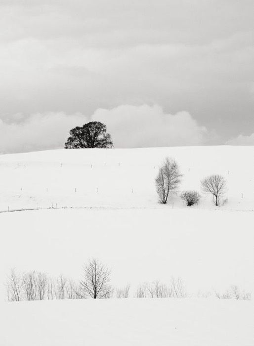 © 2006 Martin Kaegi