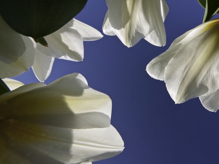© 2010 Martin Kaegi